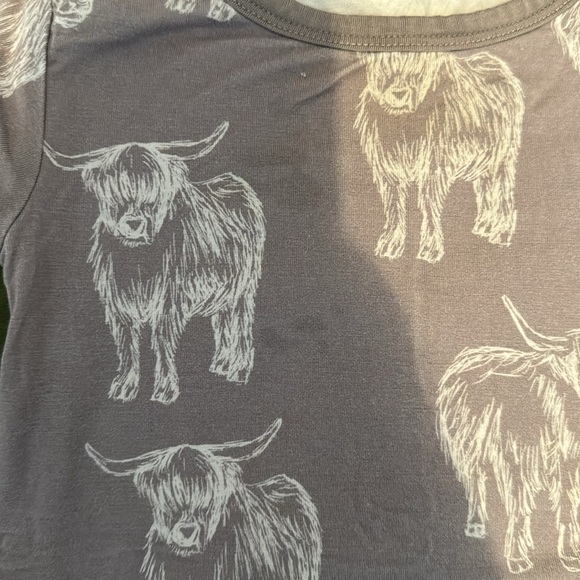 Snuggle buns highland cow 2t pajama set - Picture 2 of 2